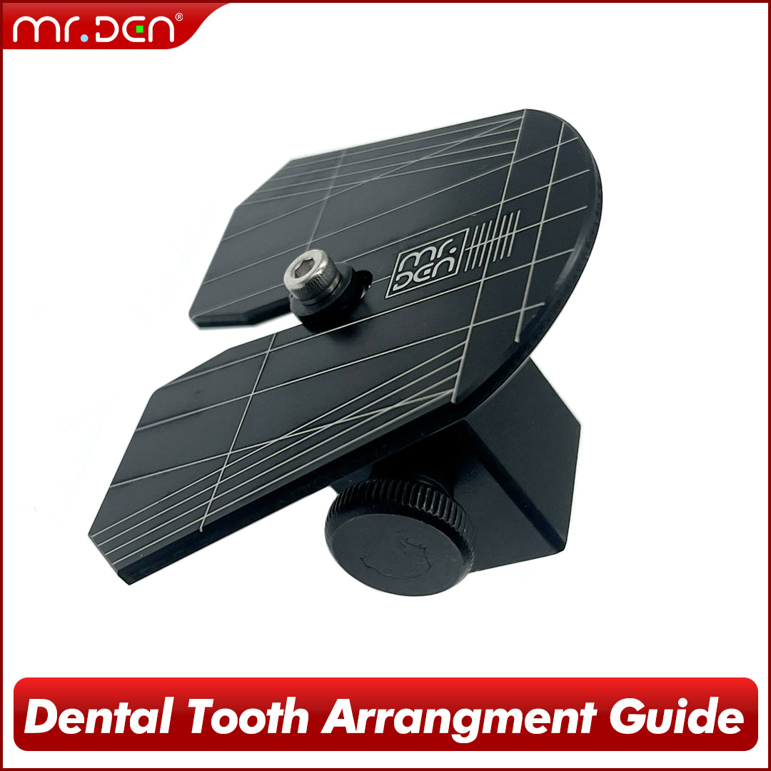 3D Printing Tooth - 2026 MR DEN 치과용 디지털 치아