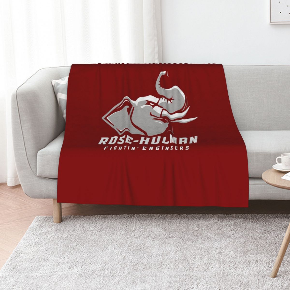 3D Printing Engineer - The Rose Hulman Fightin' Engineers 담요