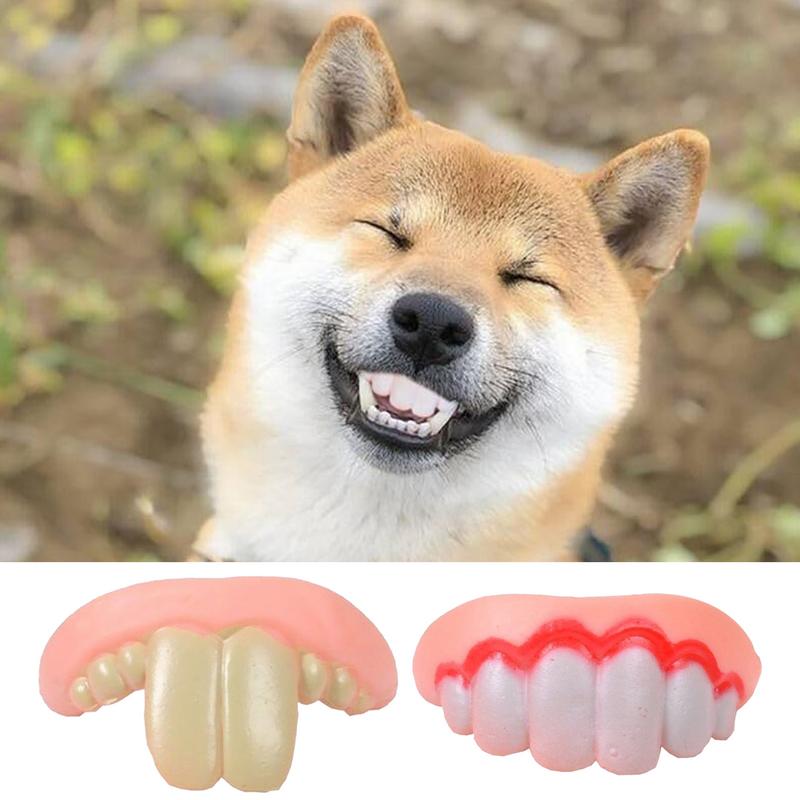 애완 동물 코기독 가짜 치아 장난감, 토끼 앞 버크티스 - 3D Printing Tooth 리뷰 및 가격