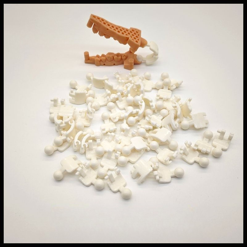 100개 3D 프린팅 바이트 프레임, 치아 몰드 일회용 - 3D Printing Tooth 리뷰 및 가격