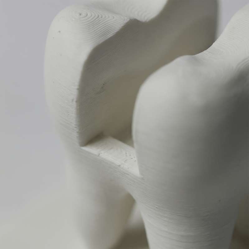 3D 프린팅된 치아 모양 명함 홀더 치과 진료소 접수  - 3D Printing Tooth 리뷰 및 가격